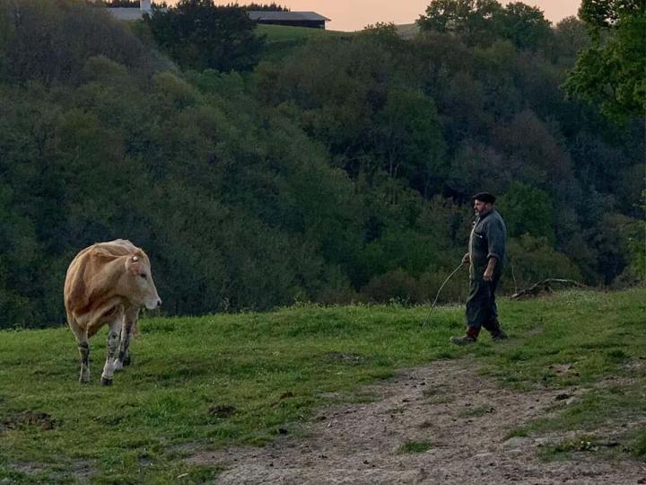 Elevage de veau à Orègue